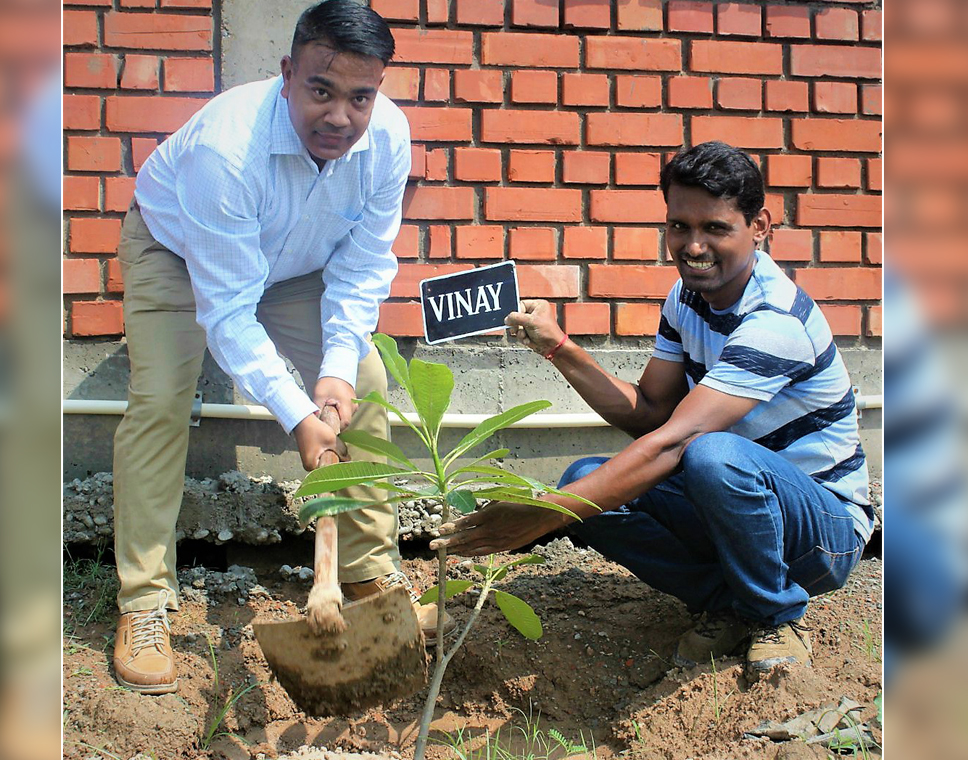 tree-plantation-at-smartData-new-facility-at-mohali