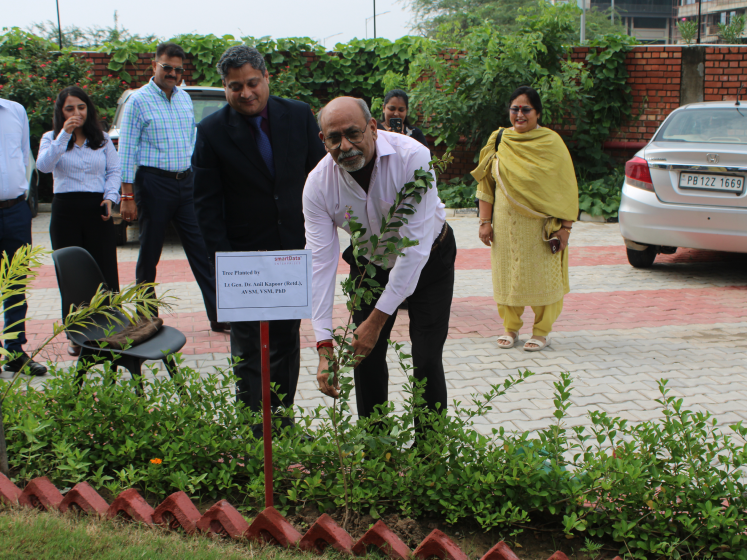 tree-plantation